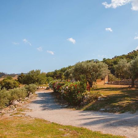 Calami - Villa Romeo - Private Apartments With Pool, Seaview & Olive Grove Santa Caterina Dello Ionio Marina Eksteriør bilde