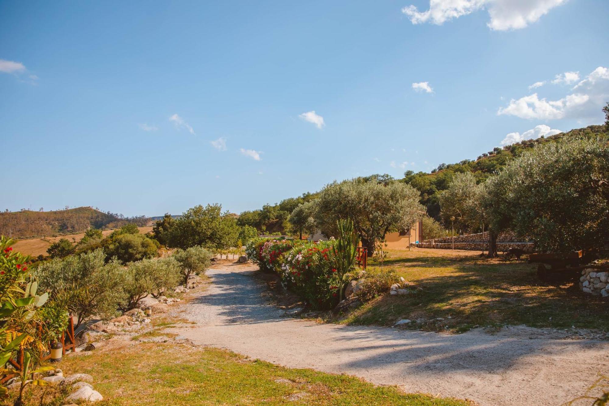 Calami - Villa Romeo - Private Apartments With Pool, Seaview & Olive Grove Santa Caterina Dello Ionio Marina Eksteriør bilde