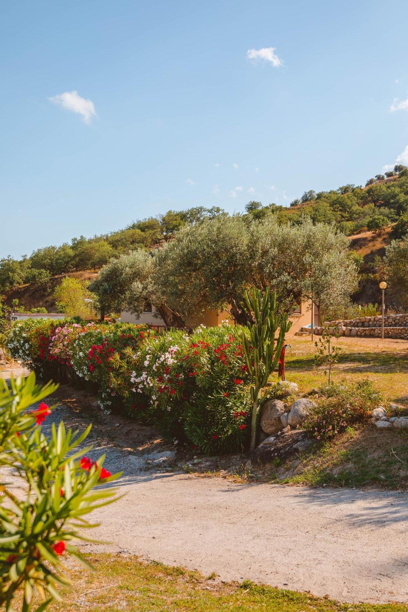 Calami - Villa Romeo - Private Apartments With Pool, Seaview & Olive Grove Santa Caterina Dello Ionio Marina Eksteriør bilde